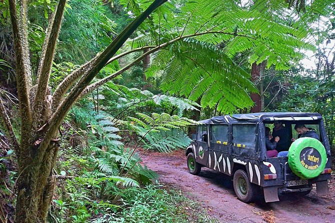 Half-Day Small-Group Madeira Village Safari from Funchal - Key highlights worth knowing