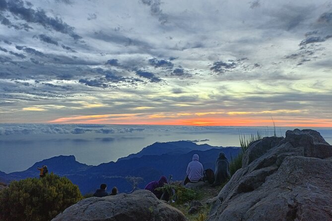 Half day Tour From 0 To 1818 Meters To Pico Do Arieiro Sunrise - Balcoes de Ribeiro Frio: The Quiet Levada Walk You’ll Appreciate