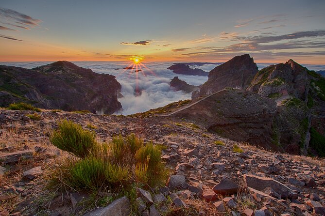 Heavens Tour: Sunset & Stargazing in Madeira - What makes the guided part worth paying for