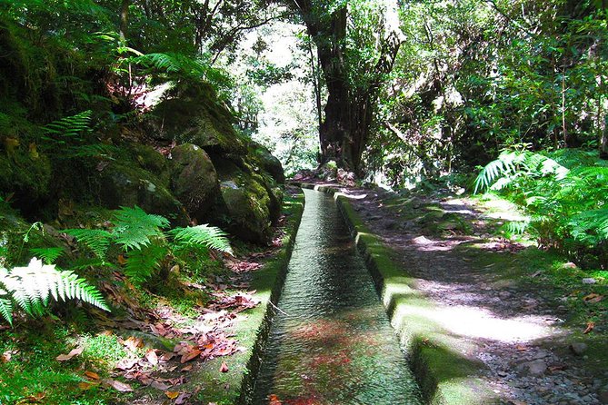 Hidden Corners: Levada Walk from Funchal - Quick hits before you lace up