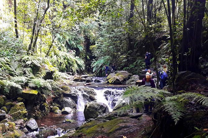Hidden Corners: Levada Walk from Funchal - Getting to the trail: Funchal pickup and the 9am start