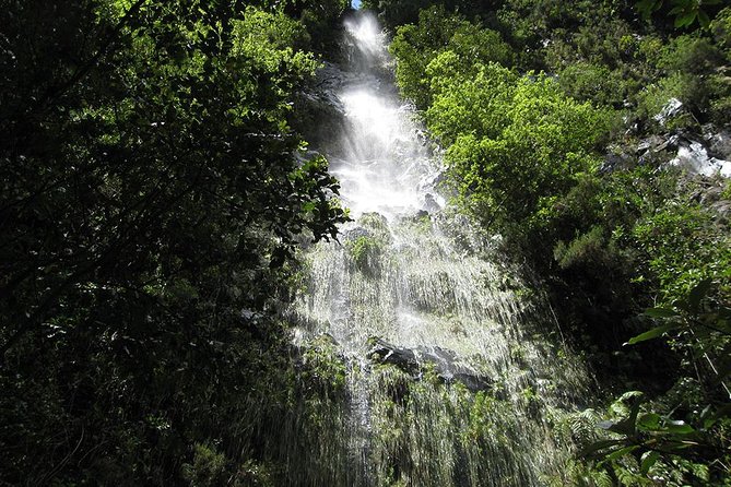 Hidden Corners: Levada Walk from Funchal - Stop 1: Levada do Rei and the plant-filled valley walk