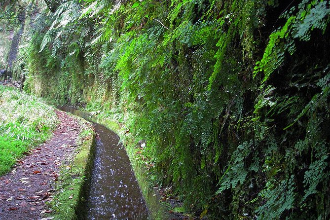 Hidden Corners: Levada Walk from Funchal - The waterfall moment: where you can go behind the falls
