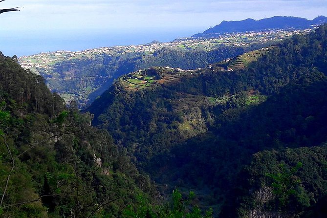 Hidden Corners: Levada Walk from Funchal - Food and supplies: the packed lunch rule that really matters