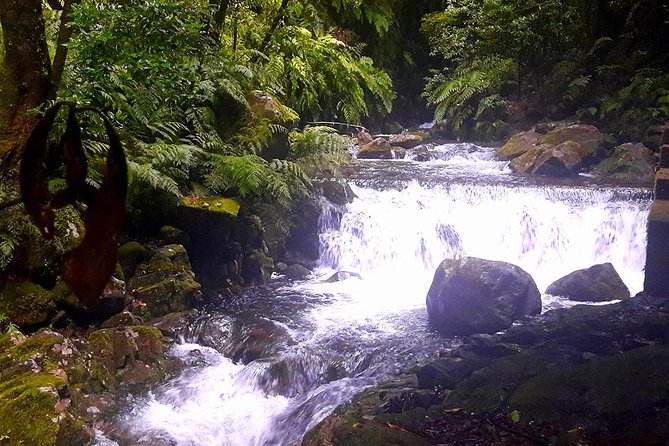 Hidden Corners: Levada Walk from Funchal - Price and value: is $51.61 a good deal for Madeira?