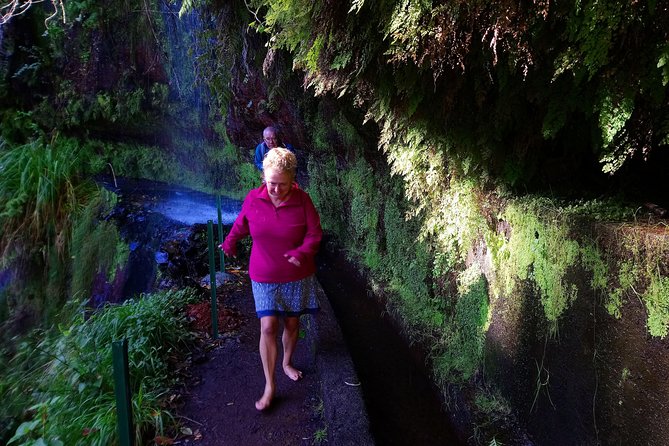 Hike in Laurisilva Levada do Rei - Madre of Life small Group guided walk - The North-to-South Levada do Rei vibe: calm, focused, and guided
