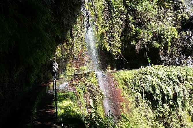 Hike in Laurisilva Levada do Rei - Madre of Life small Group guided walk - A realistic 7–8 hour schedule (without the fluff)