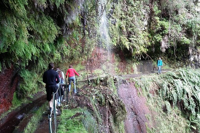 Hike in Laurisilva Levada do Rei - Madre of Life small Group guided walk - What Levada Do Rei feels like on the ground