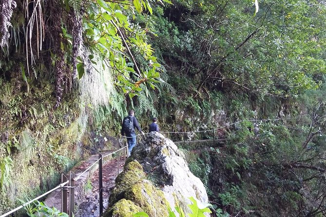 Hike in Laurisilva Levada do Rei - Madre of Life small Group guided walk - Weather-ready dressing: Madeira doesn’t ask permission