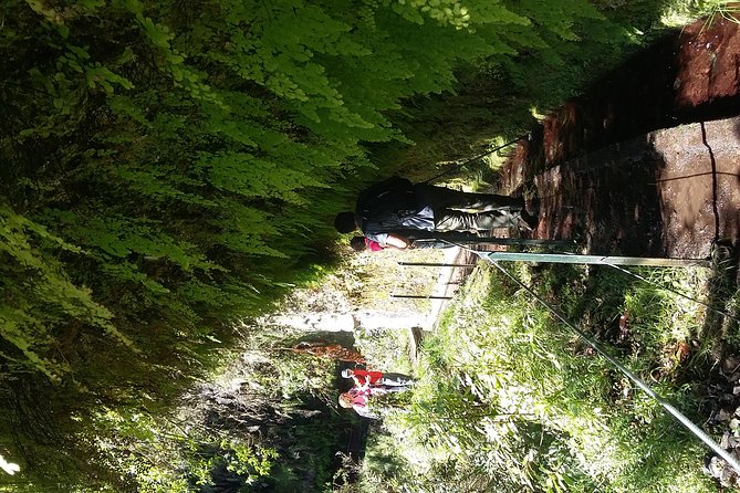 Hike in Laurisilva Levada do Rei - Madre of Life small Group guided walk - Price check: is $60.08 good value here?