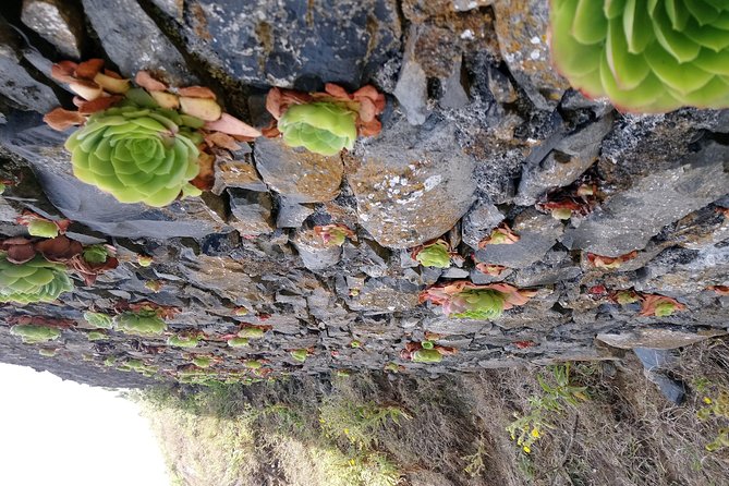 Hike Larano, Boca do Risco Porto da Cruz Levada in a small group - Boca do Risco and the north-side arrival: why coastal viewpoints matter