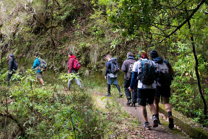 Hiking and Trekking tours in Madeira - Key highlights to know before you go