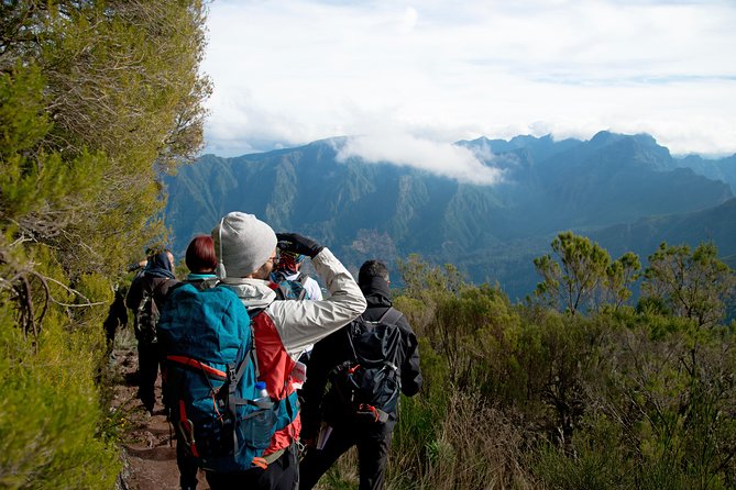 Hiking and Trekking tours in Madeira - Madeira Levadas in a Small Group From Funchal
