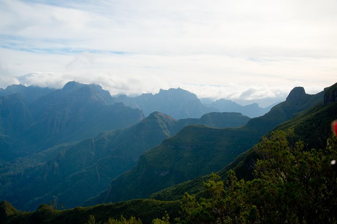 Hiking and Trekking tours in Madeira - The levada trail: volcanic scenery, forests, and big photo moments