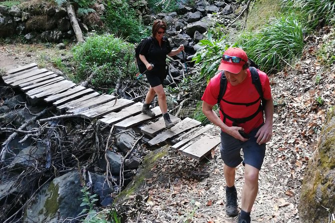 Hiking and Trekking tours in Madeira - Flora and fauna explanations in clear, practical English