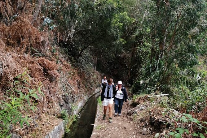 Hiking and Trekking tours in Madeira - The easygoing small-group pace (max eight people)