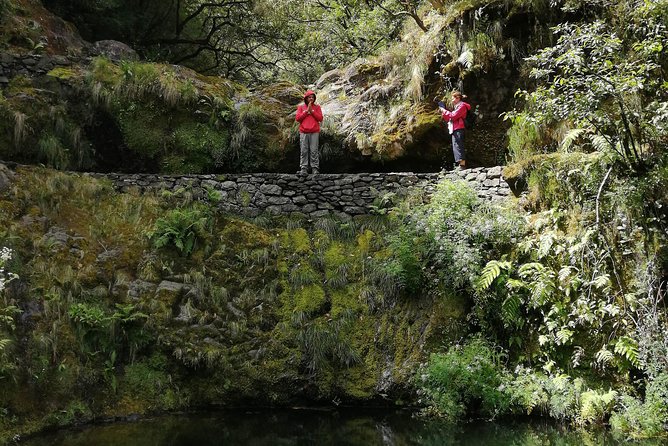 Hiking and Trekking tours in Madeira - Price and value: is $120.02 fair for a 7-hour levada hike?
