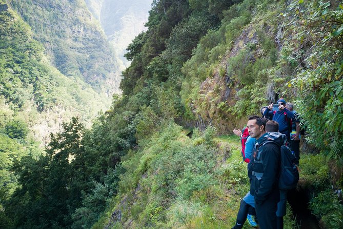 Hiking and Trekking tours in Madeira - Pickup, timing, and what 7 hours really includes