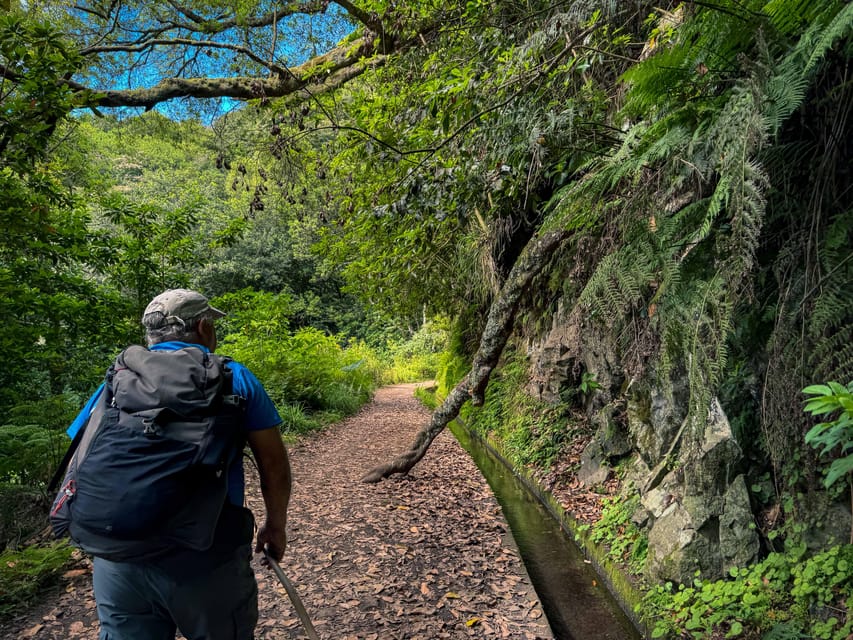 Hiking Madeira: Levada do Rei and the Majestic Laurissilva - Key things you’ll notice on this Levada do Rei + Laurissilva walk