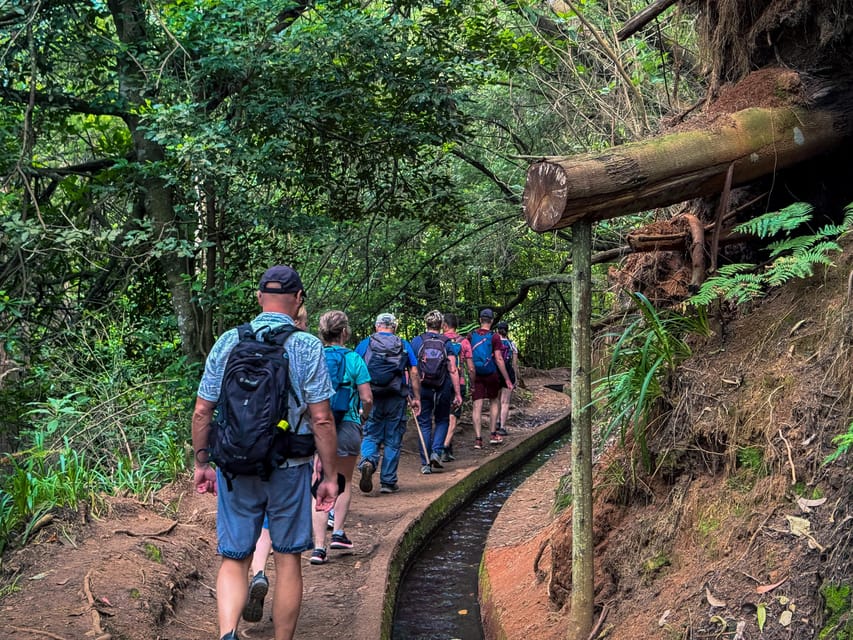 Hiking Madeira: Levada do Rei and the Majestic Laurissilva - Planning for rain: the day can change quickly