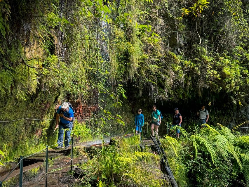 Hiking Madeira: Levada do Rei and the Majestic Laurissilva - Price and value: $54 plus the small trail-maintenance fee