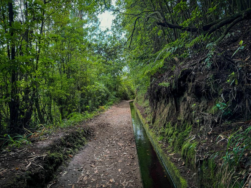 Hiking Madeira: Levada do Rei and the Majestic Laurissilva - Getting picked up near your hotel in the Funchal–São Jorge swing