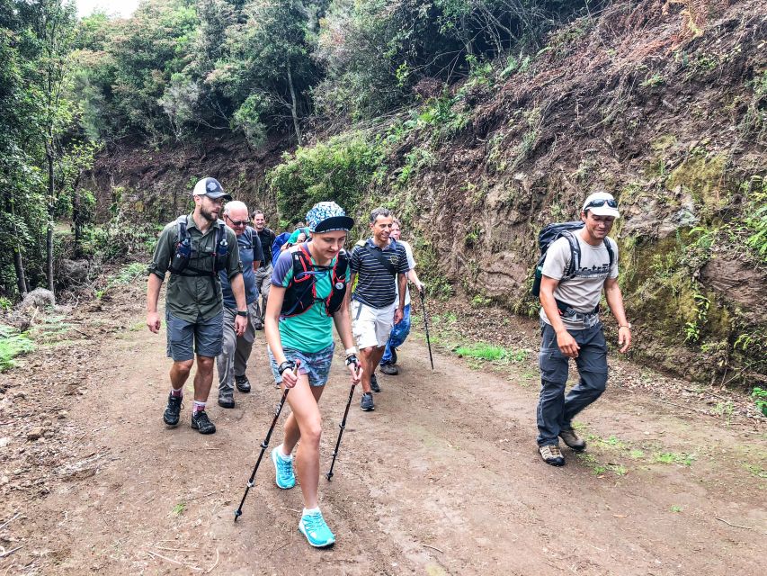 Hiking Trip with a Local - The Big Idea: Private Hiking That Fits Your Body