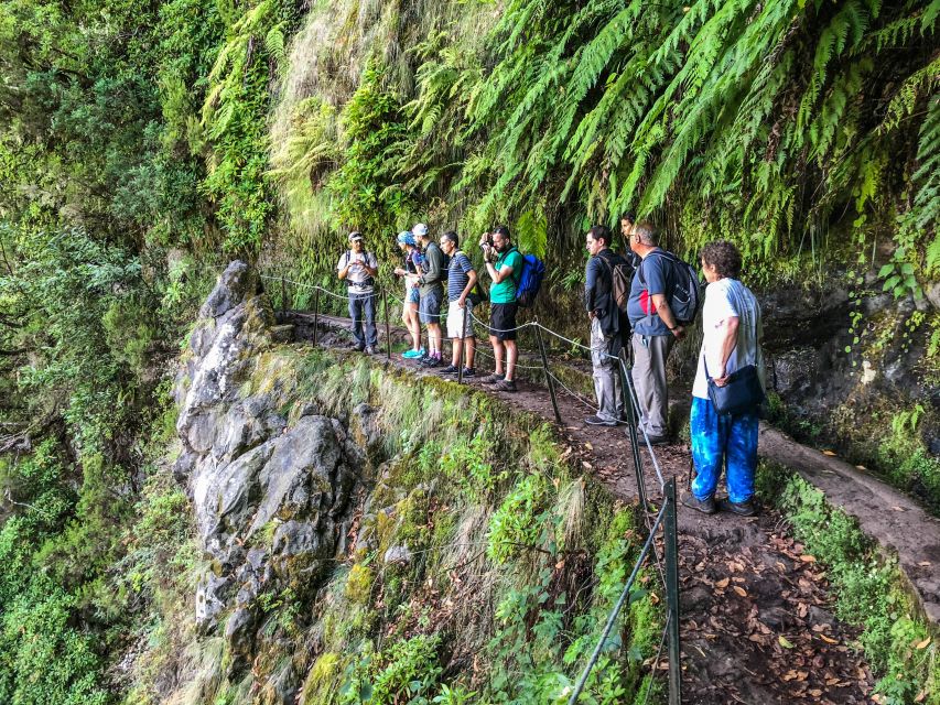 Hiking Trip with a Local - The Laurissilva Factor: UNESCO Forest That Feels Alive