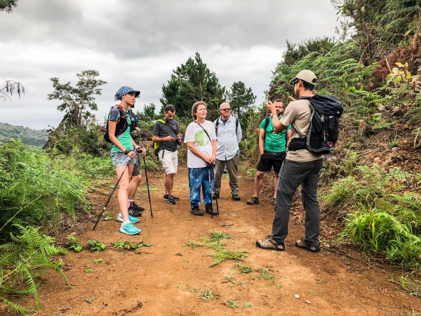 Hiking Trip with a Local - Who This Fits Best (And Who Should Skip It)