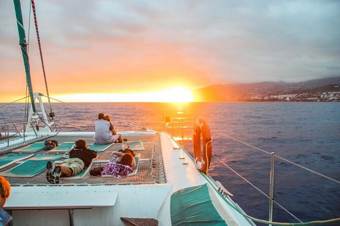 Hop-on Hop-off Bus Tour and Catamaran Whale & Dolphin Watching - A Bus Loop That Lets You Sightsee at Your Own Speed