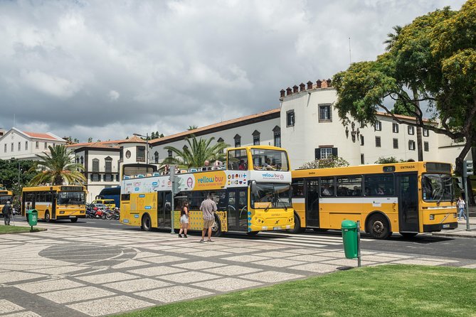 Hop-on Hop-off Bus Tour and Catamaran Whale & Dolphin Watching - Audio Guide, Onboard Comfort, and Small Practical Wins