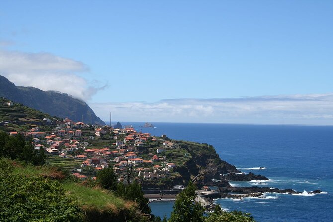 Hop-on Hop-off Bus Tour and Catamaran Whale & Dolphin Watching - Should You Book It