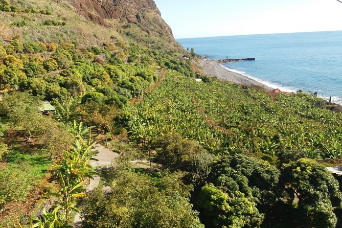 Incredible tour to a 'Faja' with a story - Should you book Fajã dos Padres?