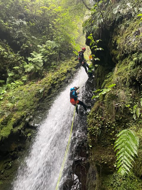 Intermediate Canyoning Madeira - Key things to know before you go