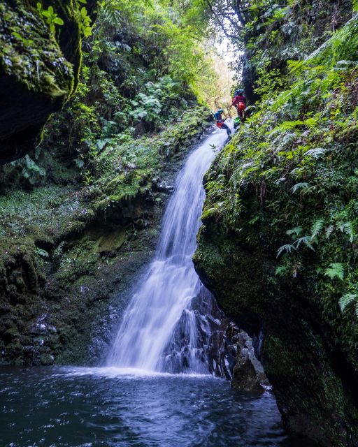 Intermediate Canyoning Madeira - Gear you don’t have to rent: built for comfort in wet rock