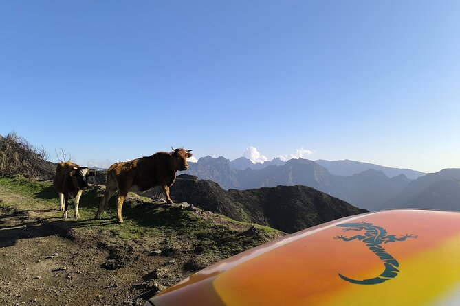 Jeep Adventure to Volcanic Pools & UNESCO Forest Treasures - What to Bring for a Smooth Day Outside