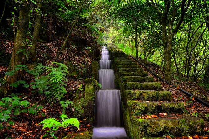 Jeep Safari in Pico Areeiro Santana Faial Full Day Tour - Queimadas off-road turn: where the Jeep part shows up