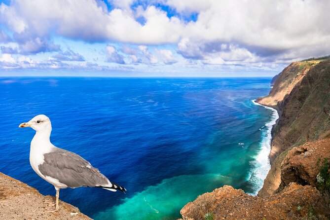 Jeep Safari in Southwest, Calheta and Ponta do Sol Full Day Tour - Should You Book This Jeep Safari?