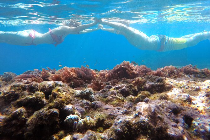 Kayak and Snorkeling Tour in Underwater Nature Reserve Garajau - Stop-by-Stop: What Praia de Garajau Adds (and What It Takes Away)