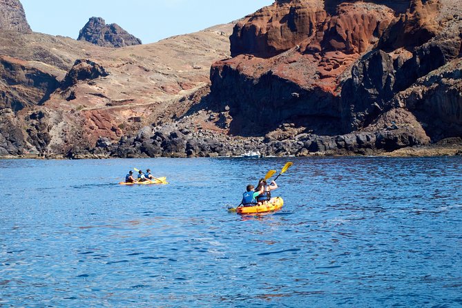 Kayak Experience @ Ponta de São Lourenço - Wildlife-spotting by boat: why the return ride is worth it