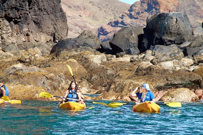 Kayak Experience @ Ponta de São Lourenço - Booking advice: how to set yourself up for a great day