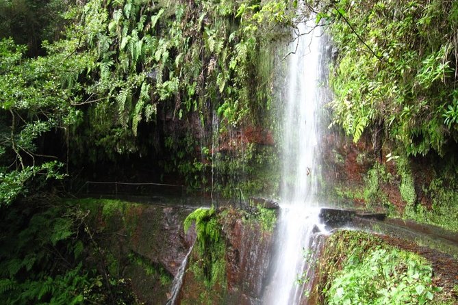 King's Levada / Ribeiro Bonito - Key Highlights You’ll Actually Care About