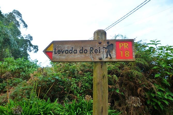King's Levada / Ribeiro Bonito - King’s Levada in Madeira’s Laurissilva: Why This Walk Feels Different