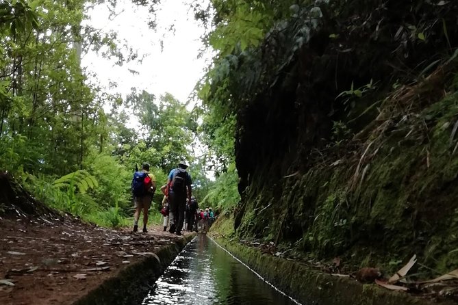Kings Levada - São Jorge - Entering the trail with air-conditioned pickup in Funchal