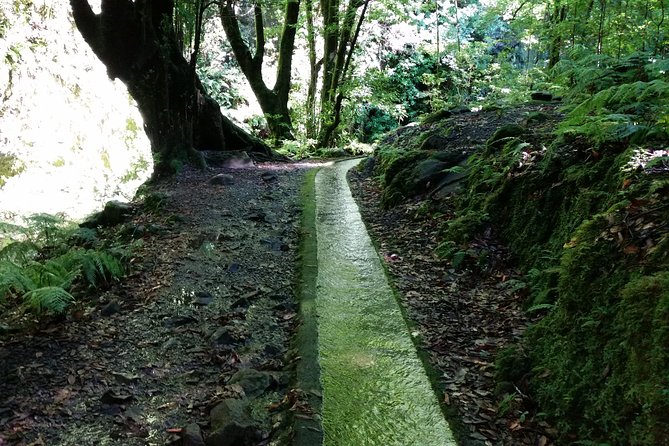 Kings Levada - São Jorge - 10 km at a steady pace: timing and fitness reality