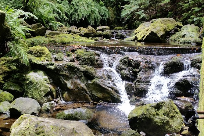 Kings Levada - São Jorge - Stops and the longer picnic lunch break