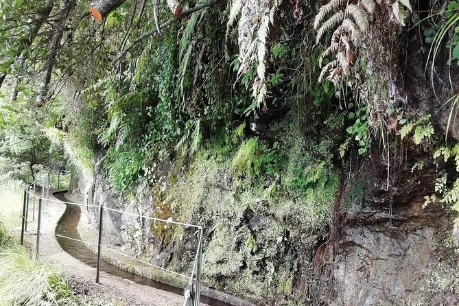 Kings Levada - São Jorge - Price and value: where the $54.01 goes