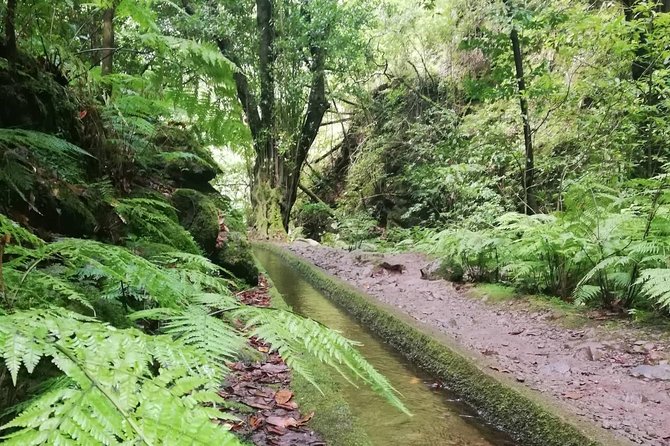 Kings Levada - São Jorge - Weather-dependent timing and smooth last-minute changes
