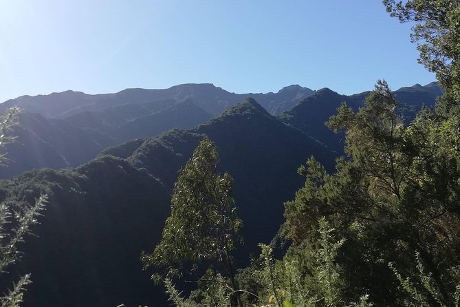 Kings Levada - São Jorge - The guide-led route that helps you not get lost