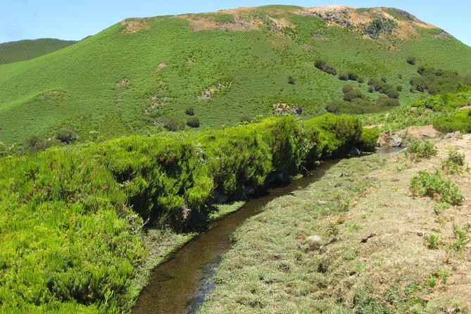 Lakes of Madeira- Alecrim Full day walk - What’s included (and why those extras matter)